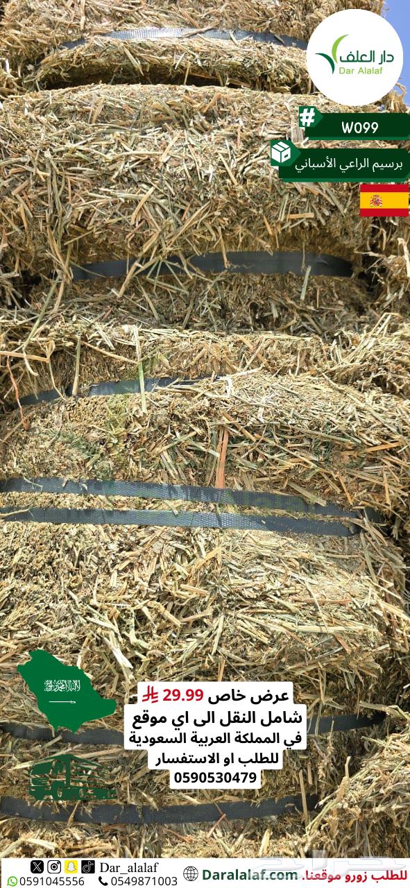 عرض برسيم المستورد64418052870914113