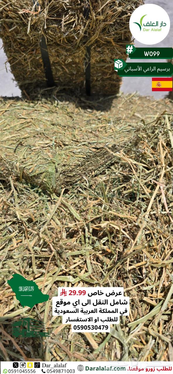 عرض برسيم الراعي الاسباني64417998892291110