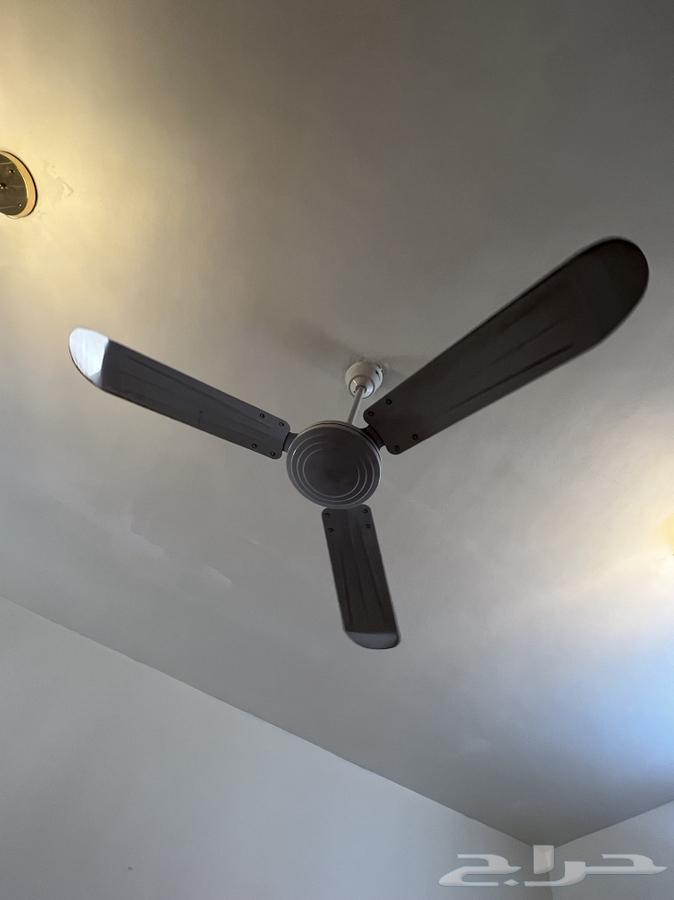 لمبة ايكيا  وطاولة تلفزيون واربعه مراويح  وفريز64412829706369111