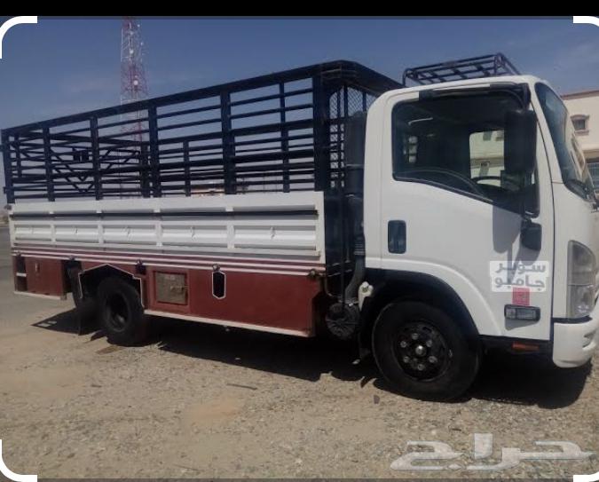 Moving furniture trucks in Al-Nairiyah and cargo loading64142393678467110