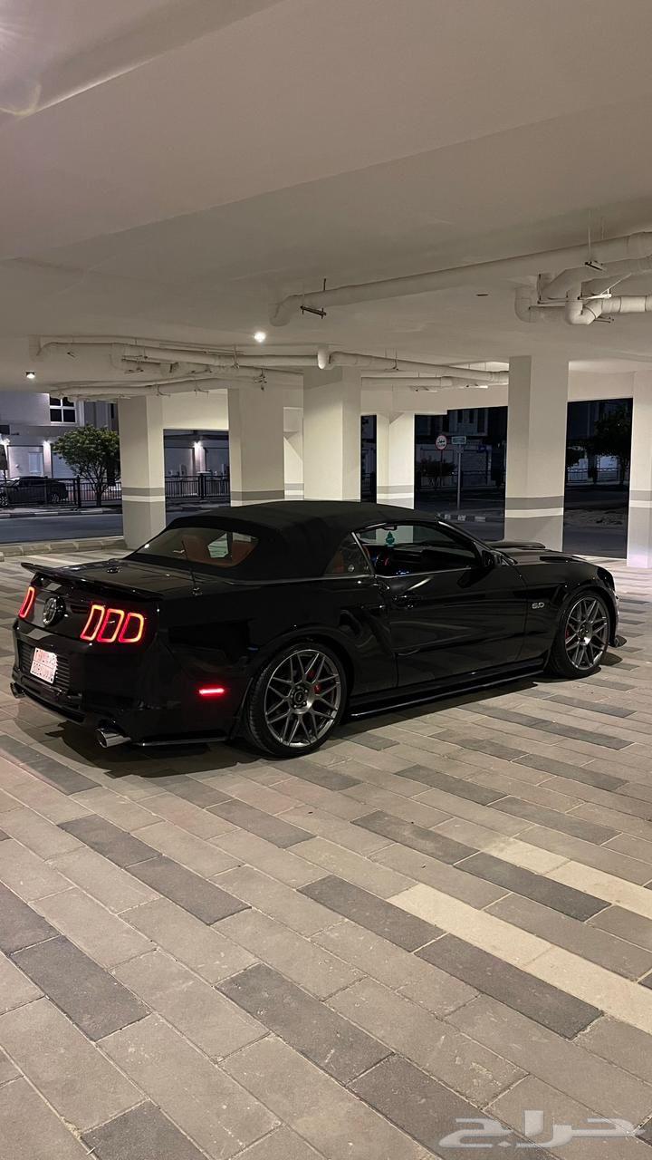 موستنق الموديل 201364576687382402114