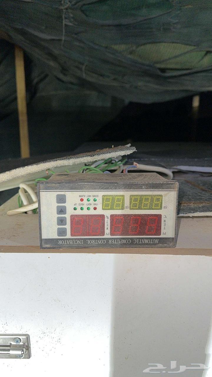 فقاسات للبيع64419145106178114