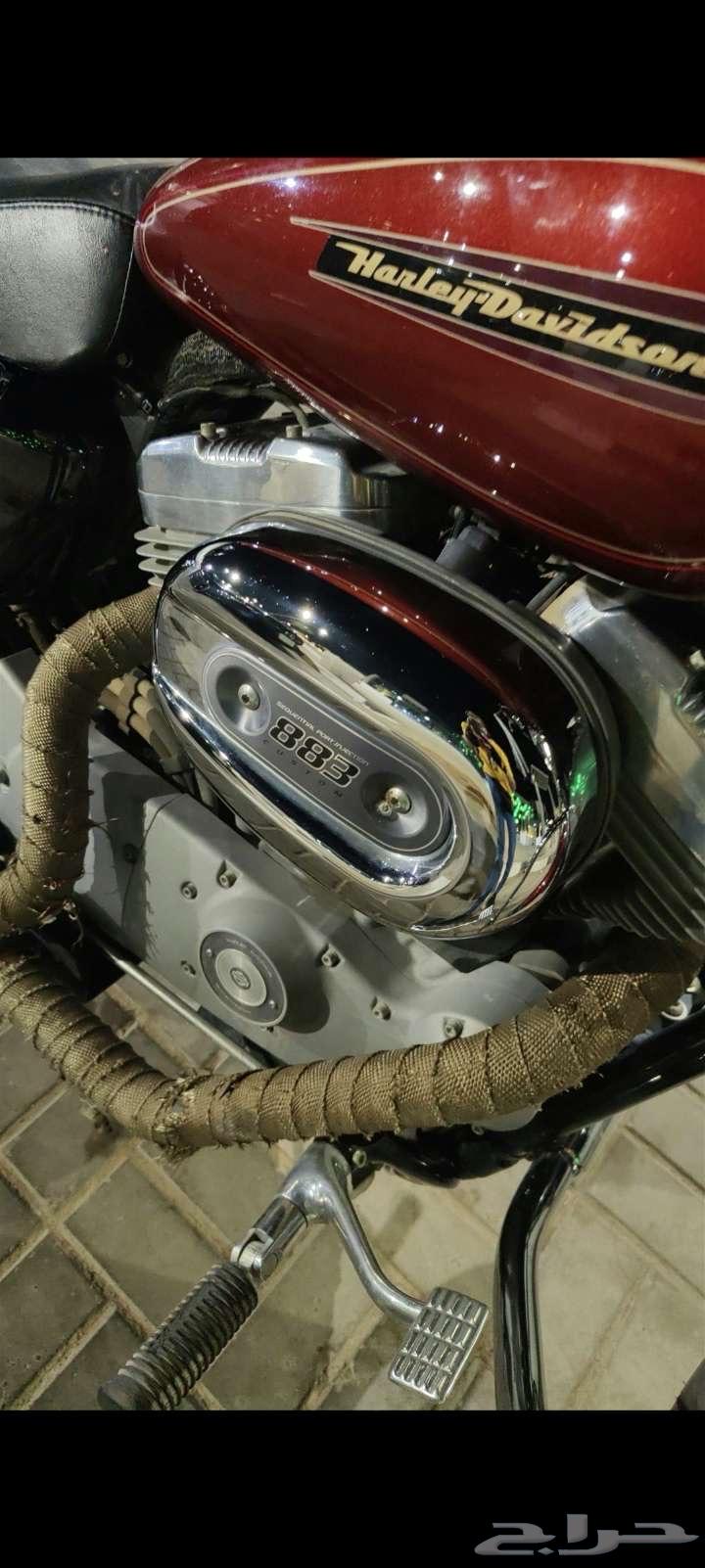 دباب هارلي سبوستر 883 200964569794552449113