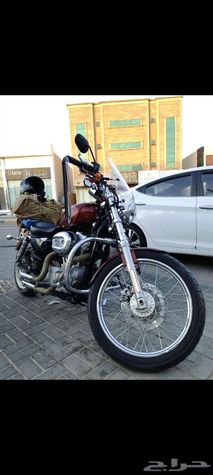 دباب هارلي سبوستر 883 200964569794552449110