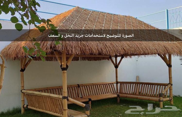 Palm fronds, palm ribs, and palm fibers suitable for shades or decoration64416690324867113