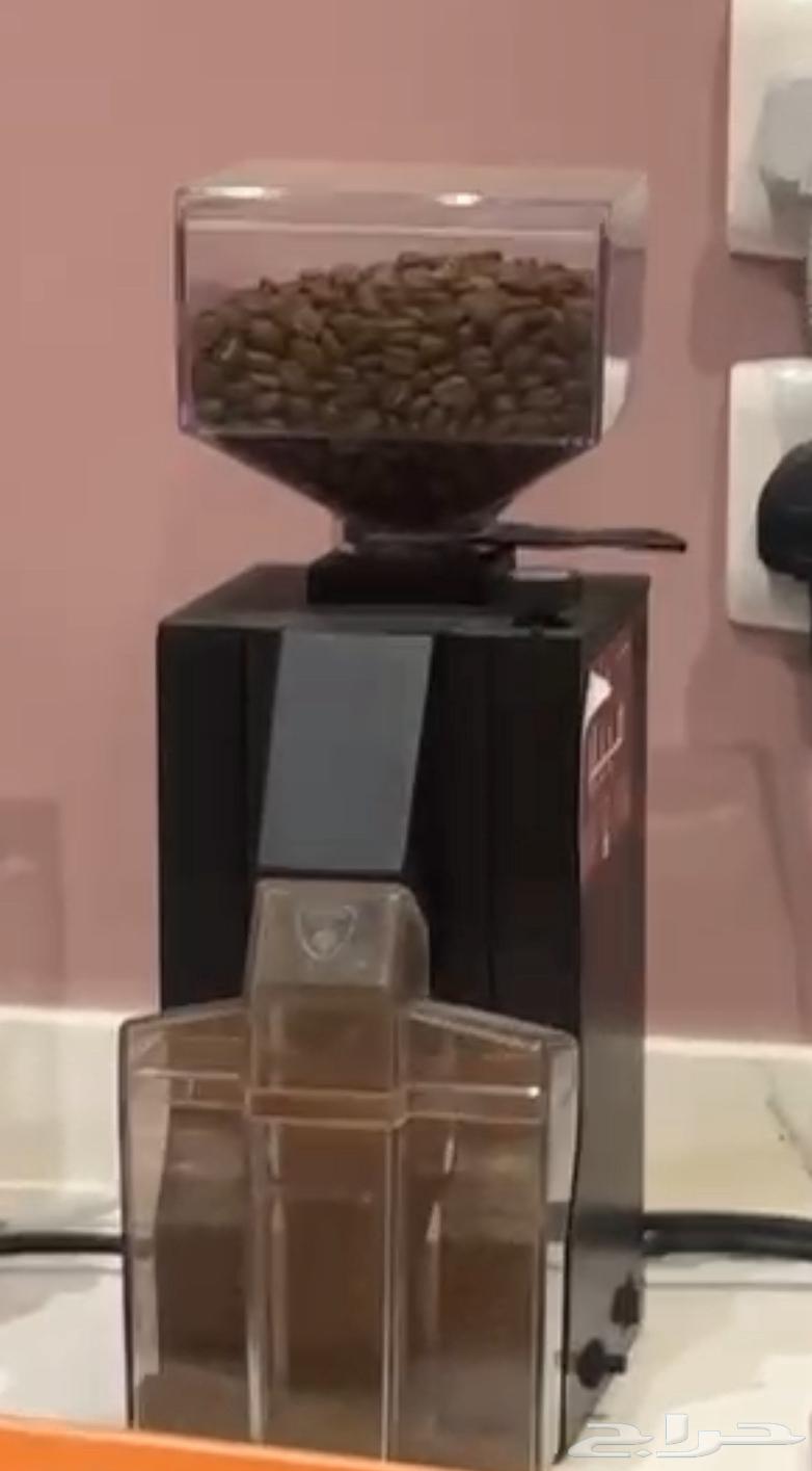 مطحنة قهوه64413499787906110