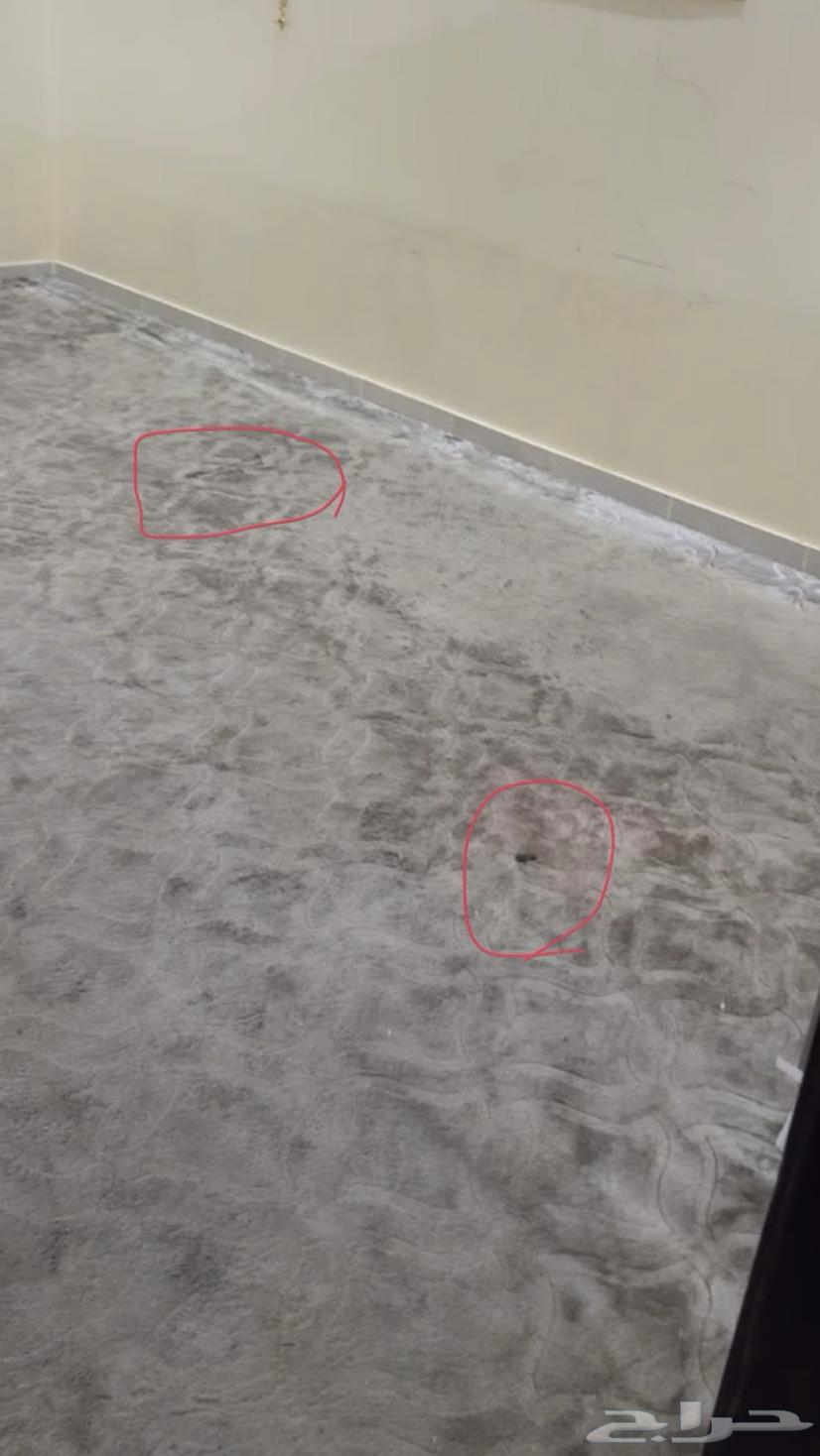 Carpet64414620068482112