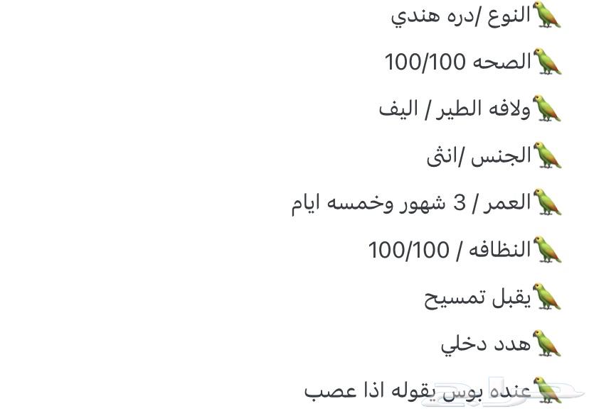 Bird64416307655683112