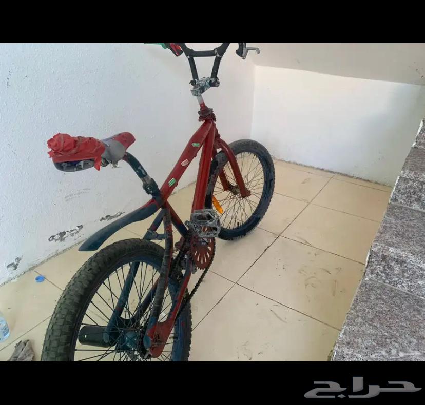 سيكل كوبرا للبيع64415154976514110