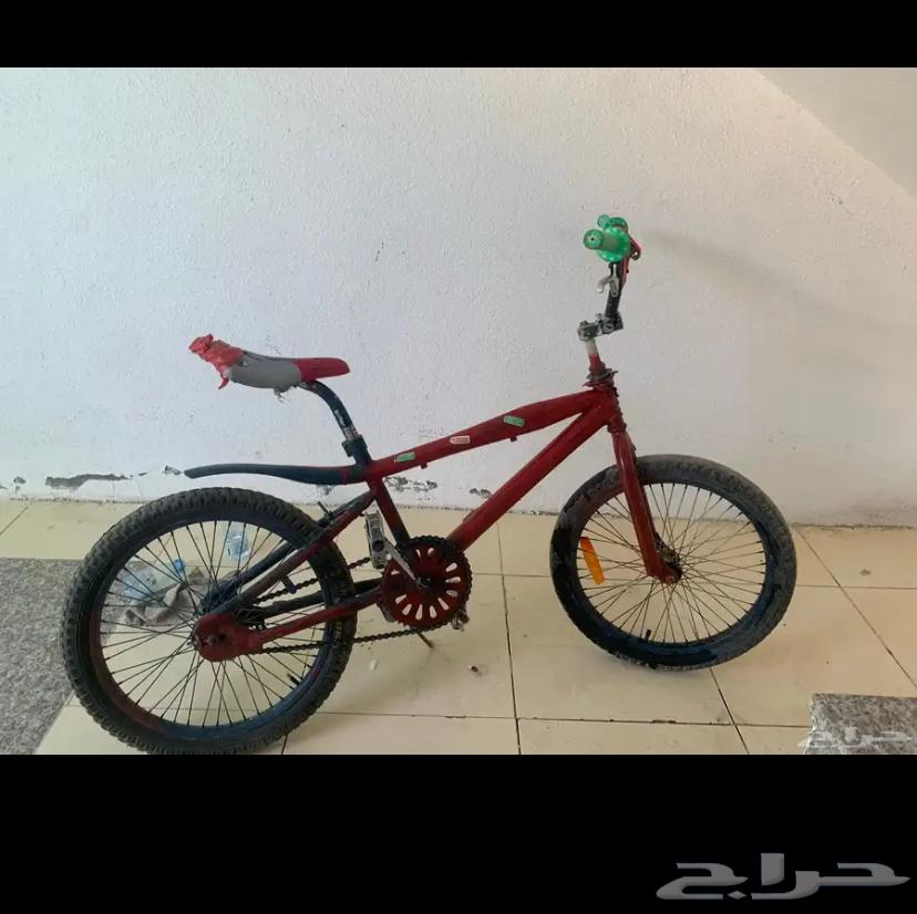 سيكل كوبرا للبيع64415154976514111