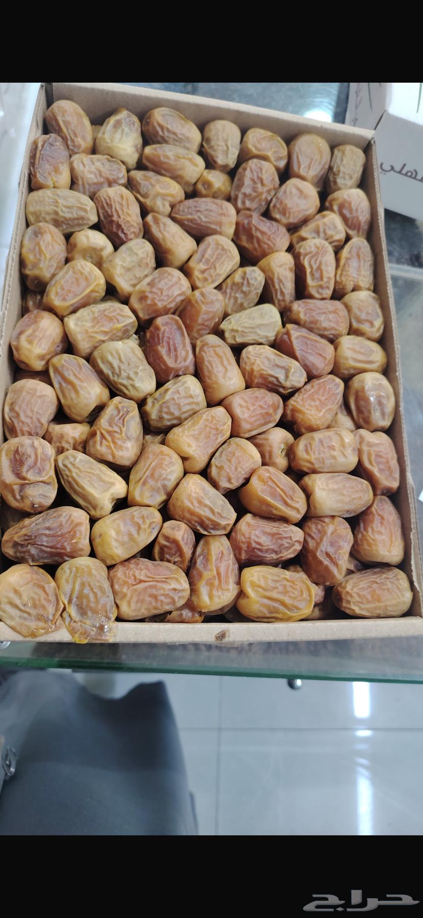 Tamar Sakkari64415168707457110