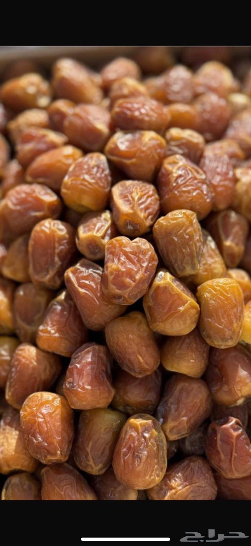 Tamar Sakkari64415168707457113