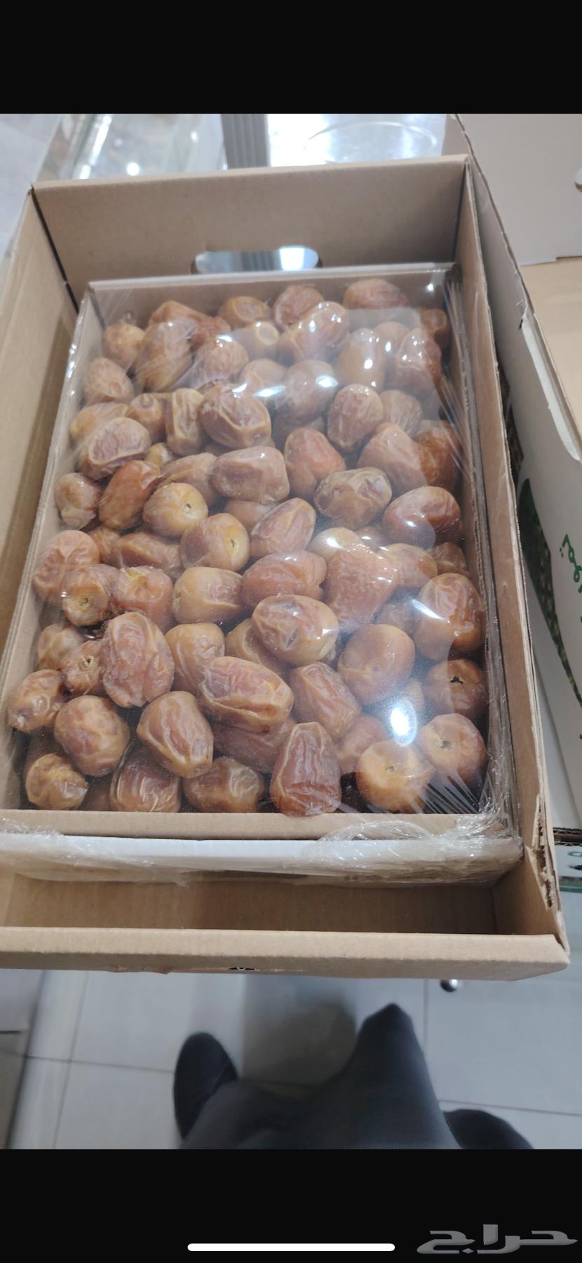 Tamar Sakkari64415168707457112