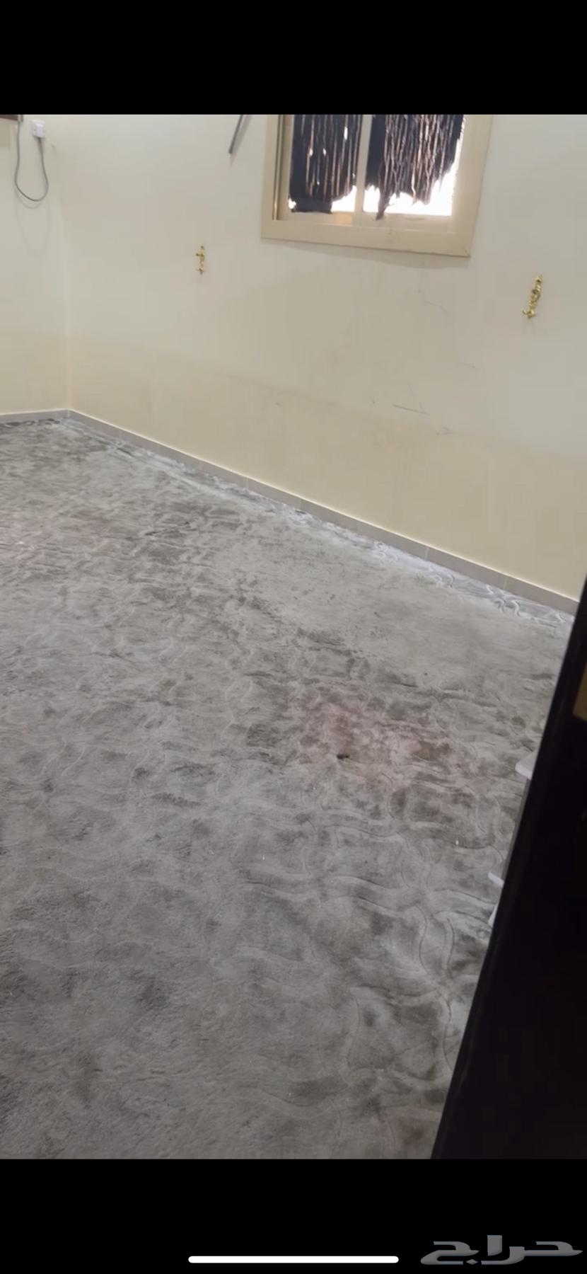 Carpet64414620068482111