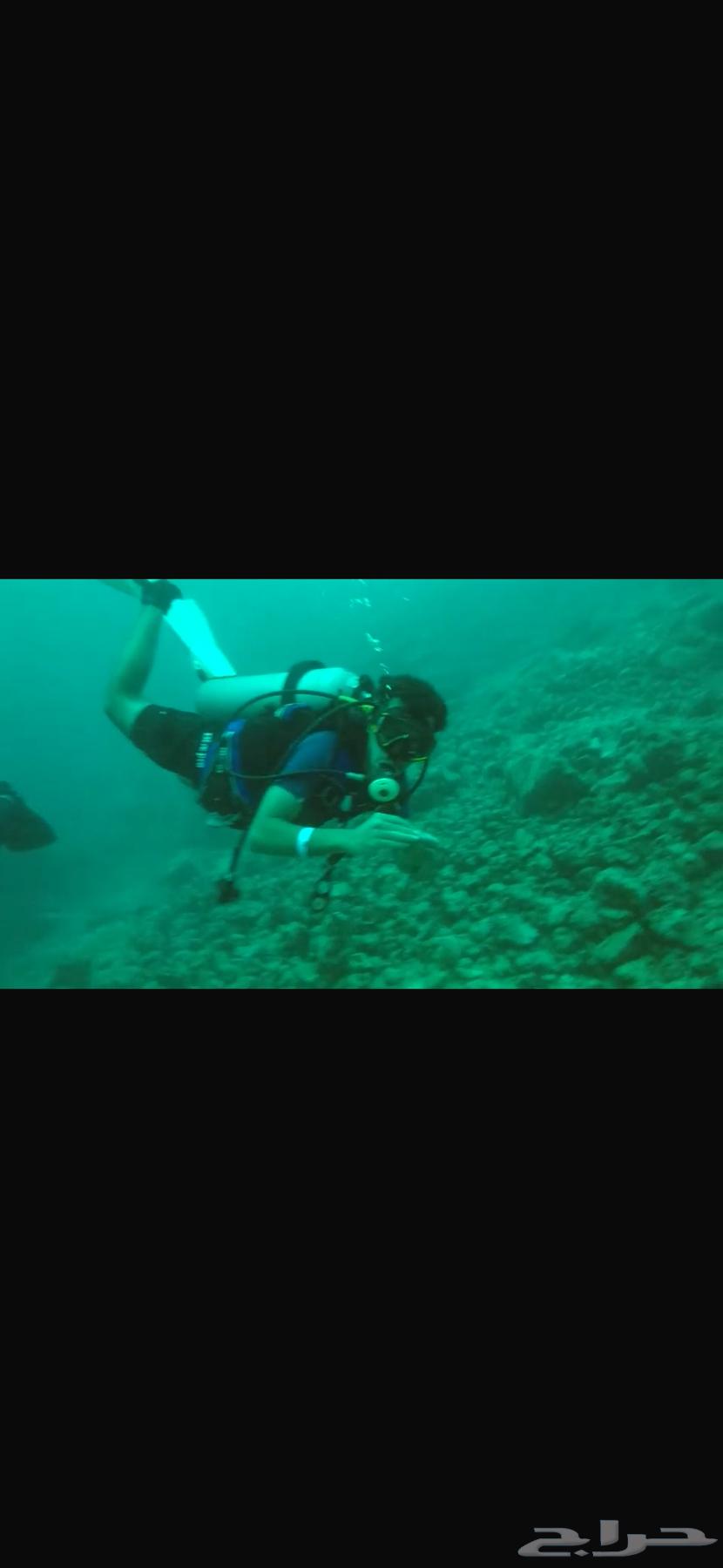 دورة غوص64414395467394111