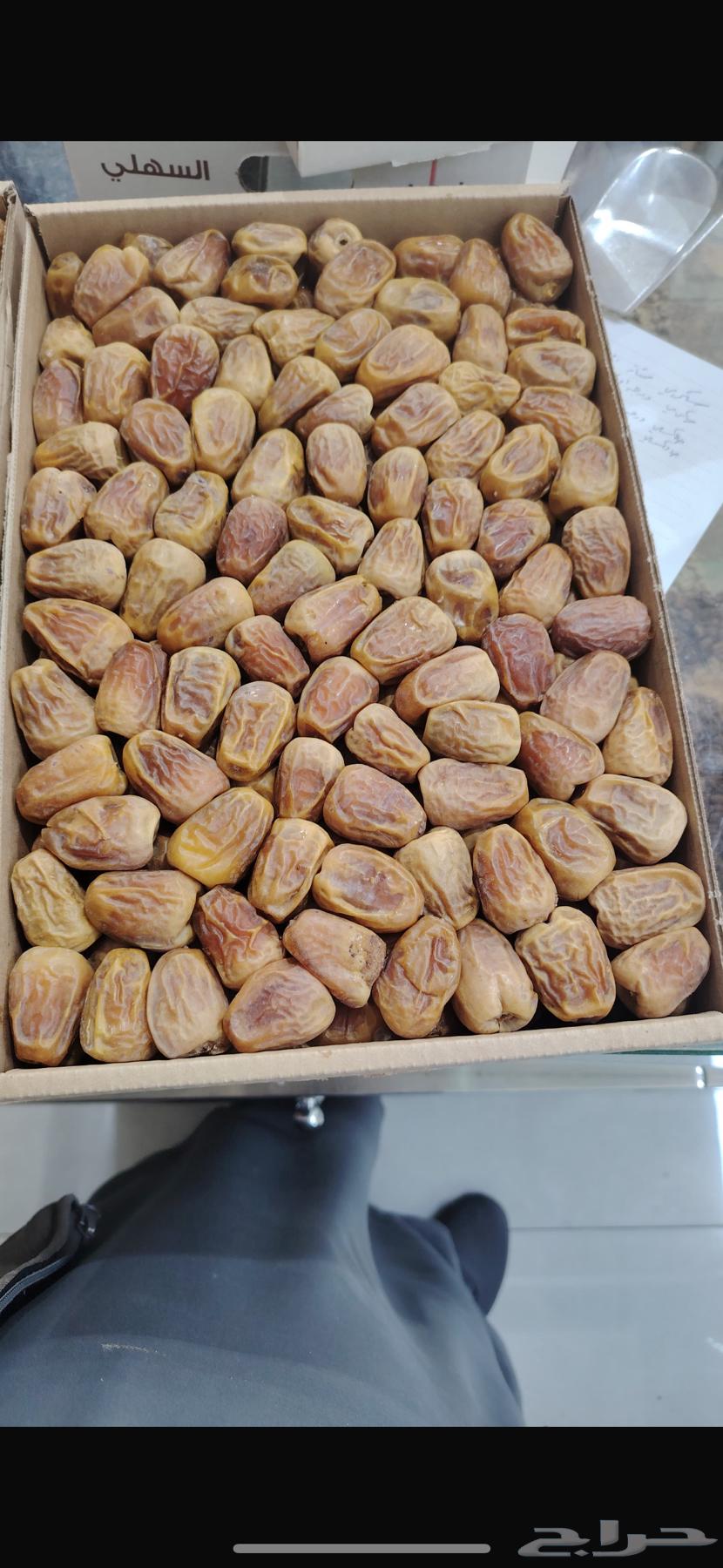 Tamar Sakkari64415168707457111