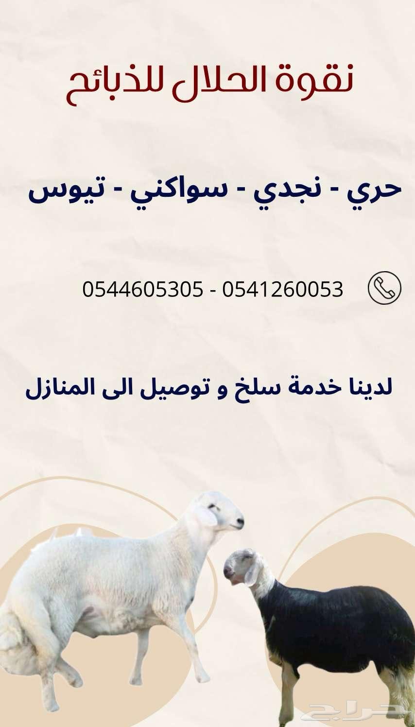 ذبايح للبيع ويوجد خدمة توصيل للمنازل64413422921985110