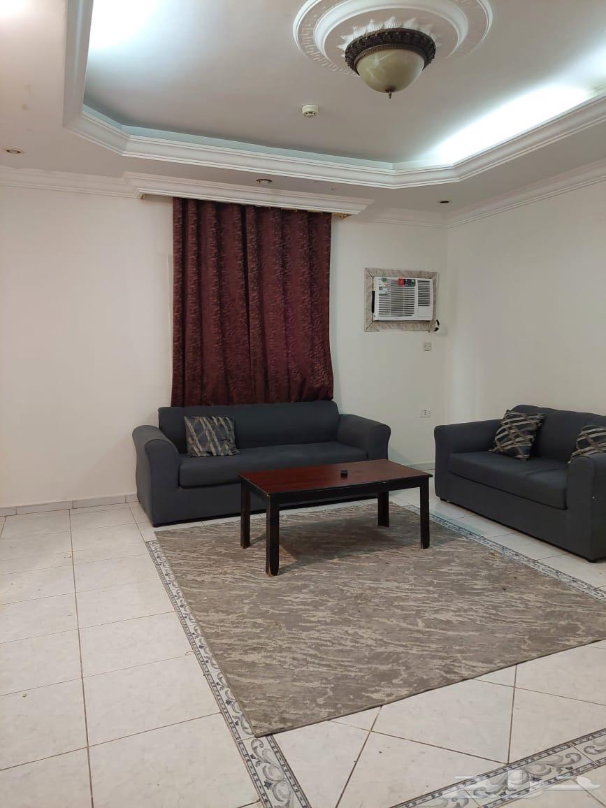 شقة للإيجار