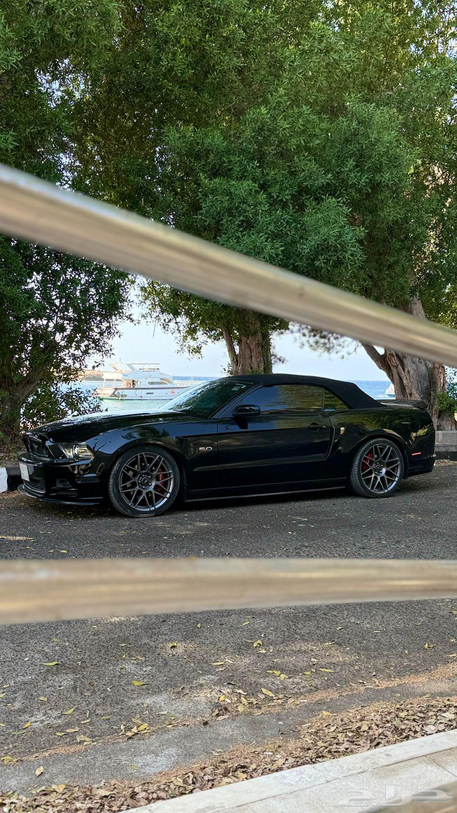 موستنق الموديل 201364576687382402111