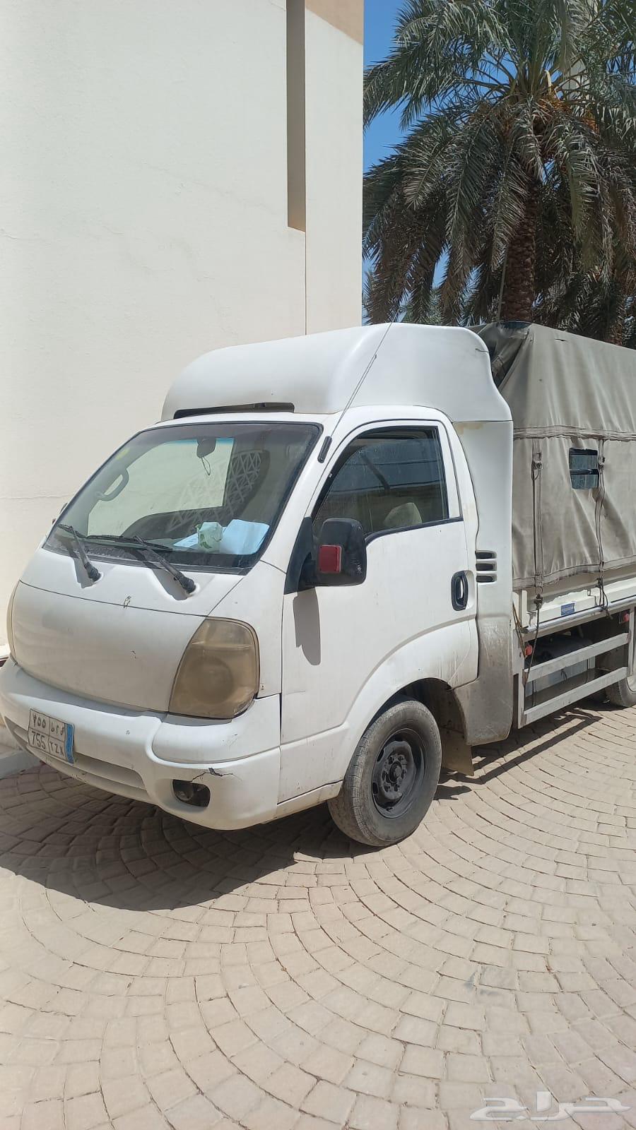 دينا كيا64569916706178113