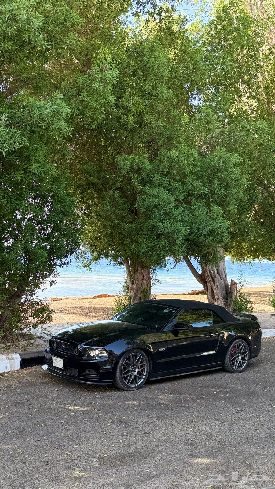 موستنق الموديل 201364576687382402110