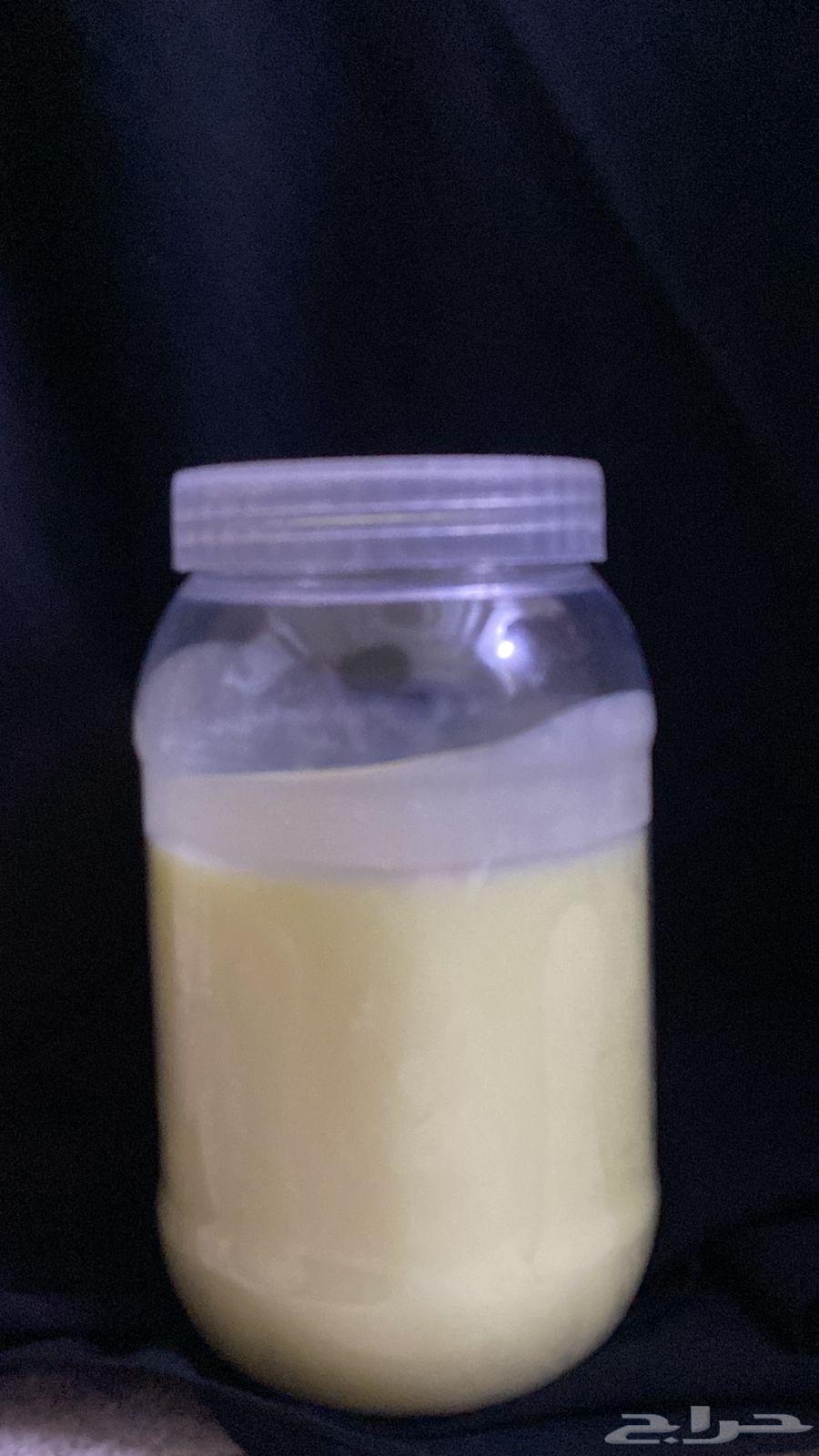 Sheep ghee64417062045571110