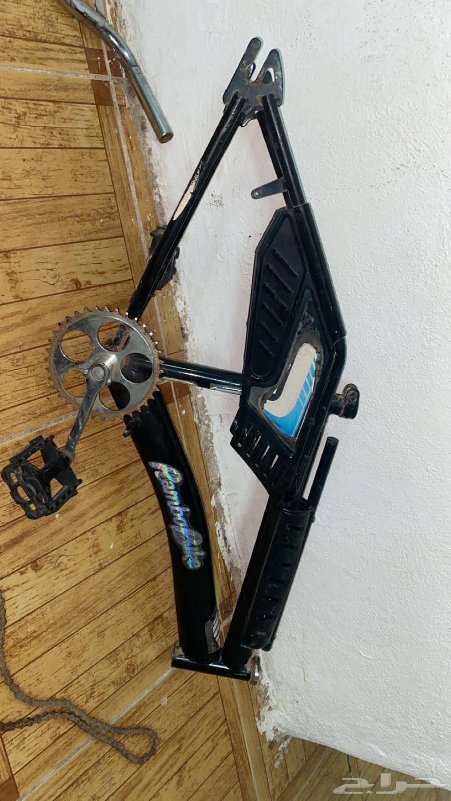 حصان رامبو للبيع حط سعرك و مانختلف64413287400066110