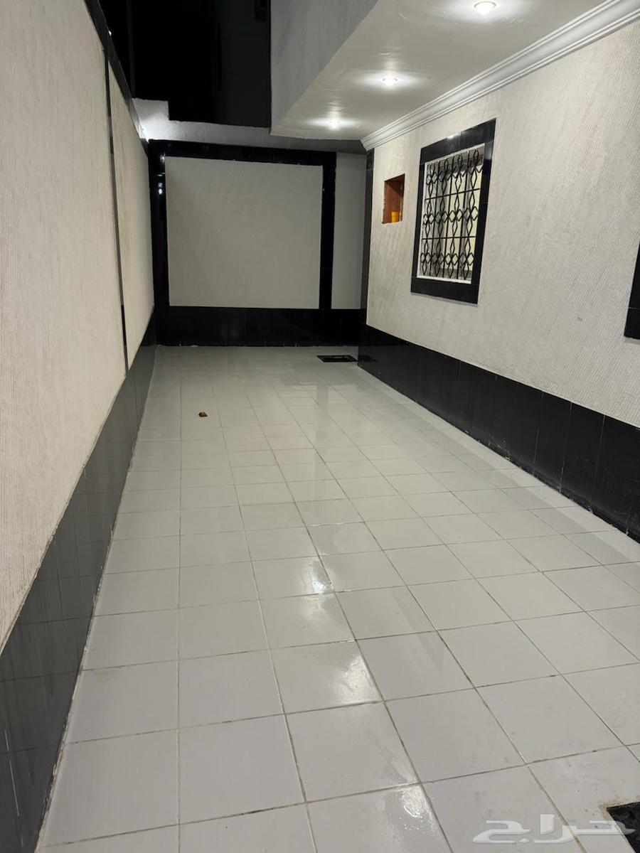 Furnished and unfurnished apartments for rent in Bisha64141831338114111