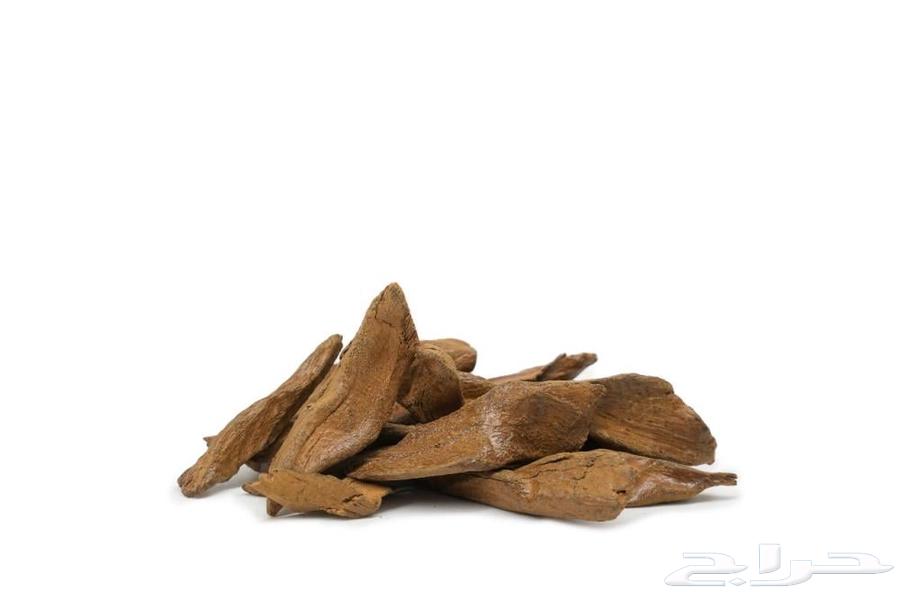 عود مروكي64420296811905111