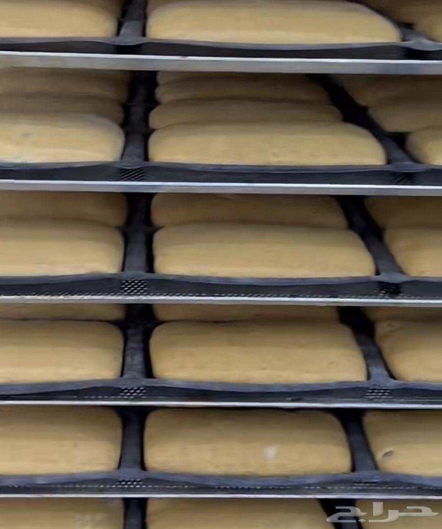 خبز بانيني بالجملة لجميع مناطق المملكة64419372488066110