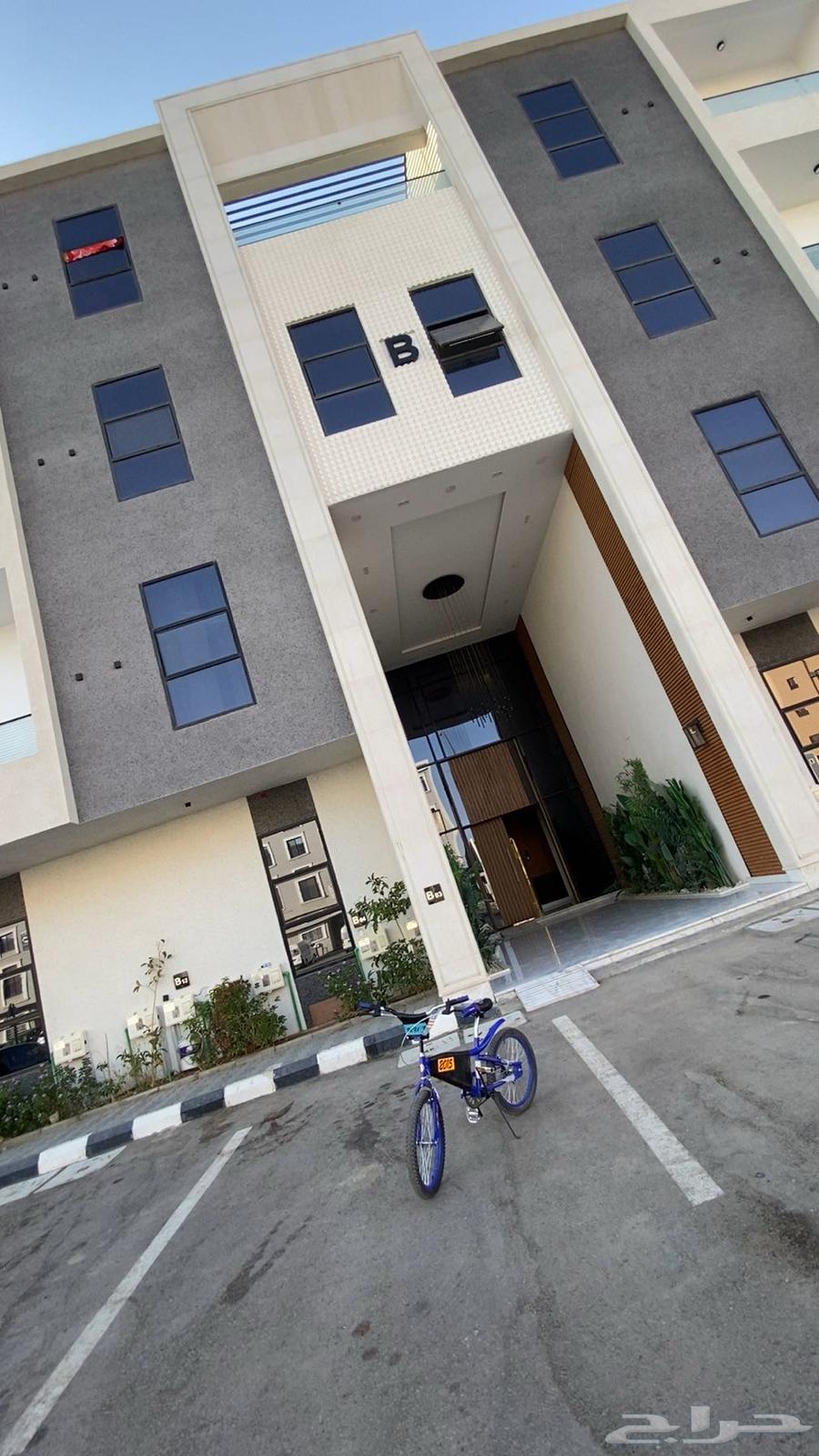 سيكل كوبرا السعر 25064422246246915111