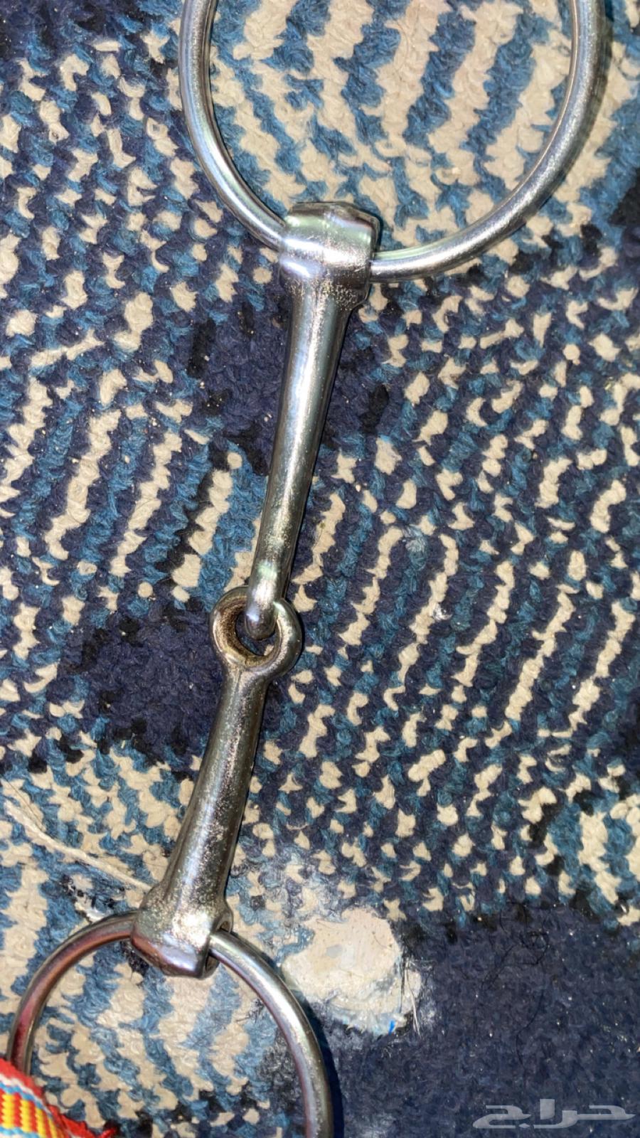 شكيمه بل راسيه64422694300803110