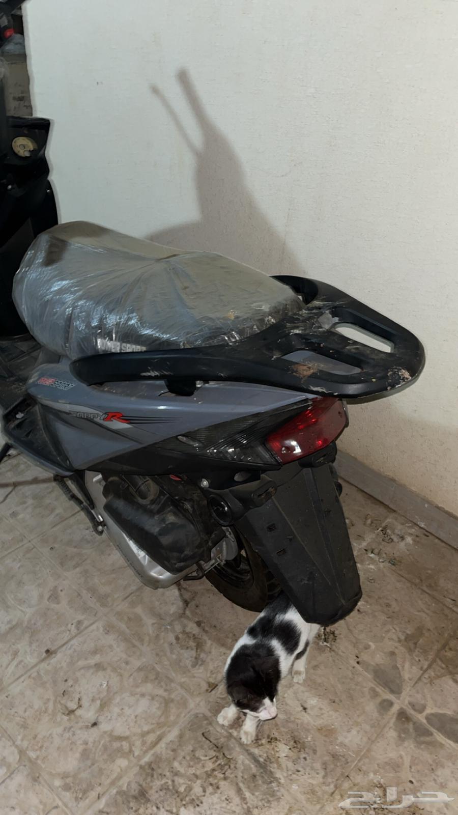 عجيب باور سبورت للبيع64578437514114112