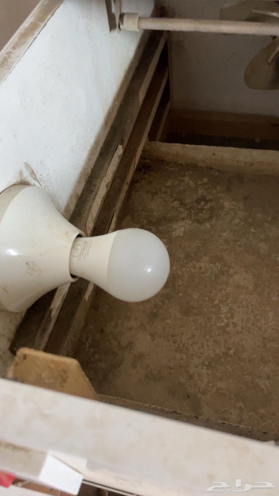 Incubator64422558088321111