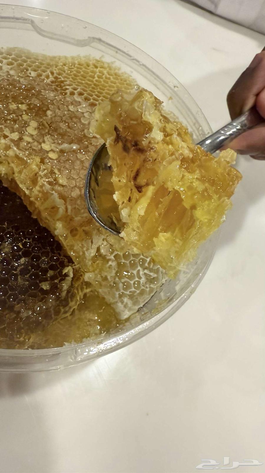 شمع عسل توه واصل الخبر64423824274562110