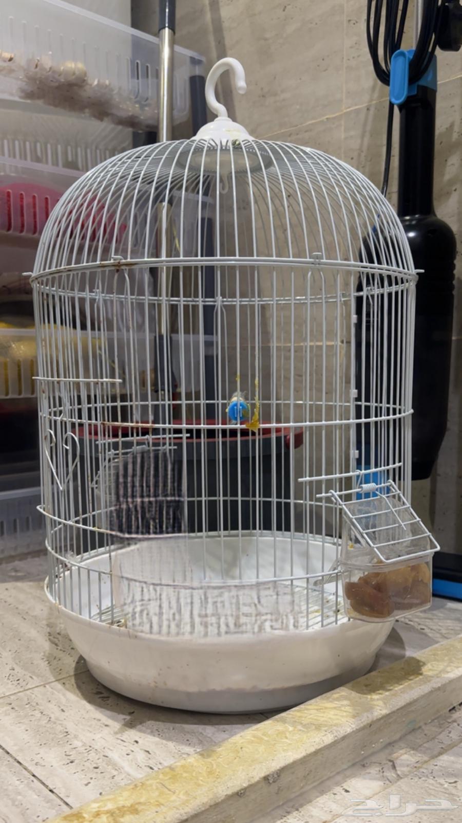 اقفاص للبيع64420729280898111