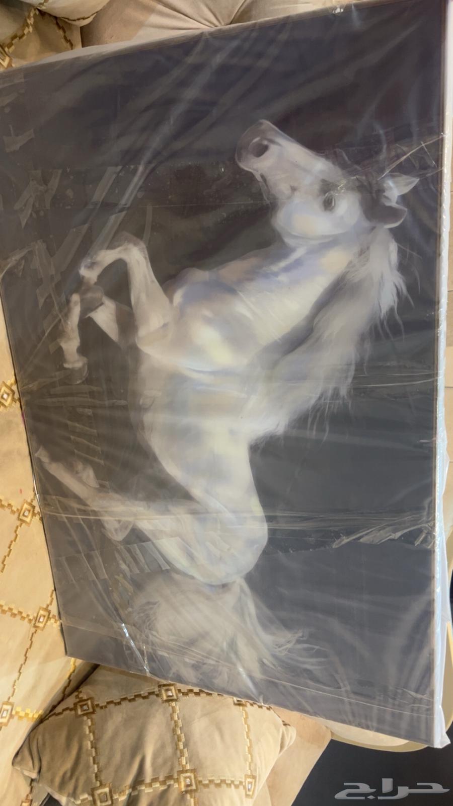 لوحة خيل ابيض في لوحة سوداء64578563627266110