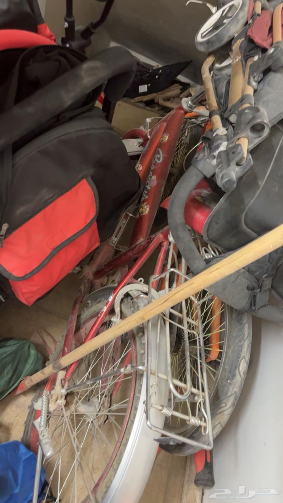 سيكل بناني64421147629697110