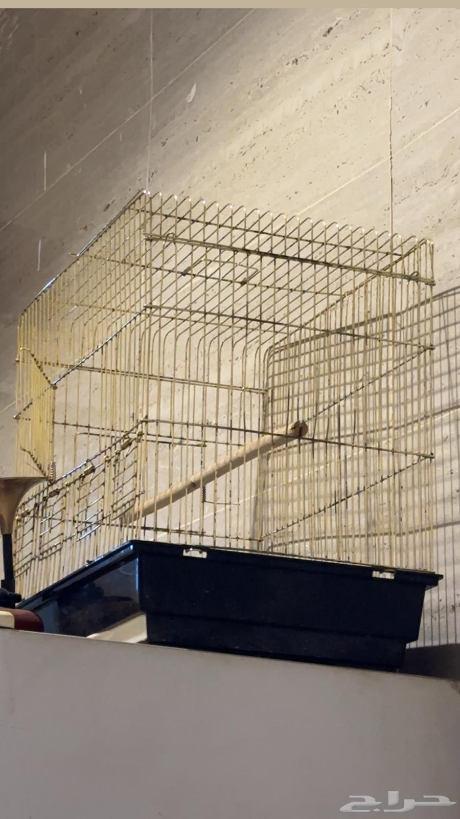 اقفاص للبيع64420729280898110