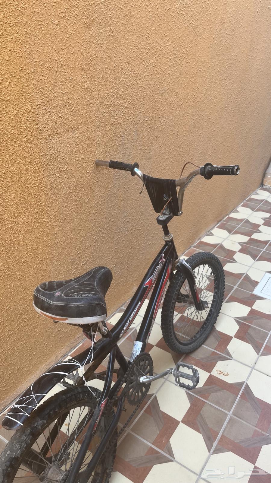 Cobra Cycle64420323706113112