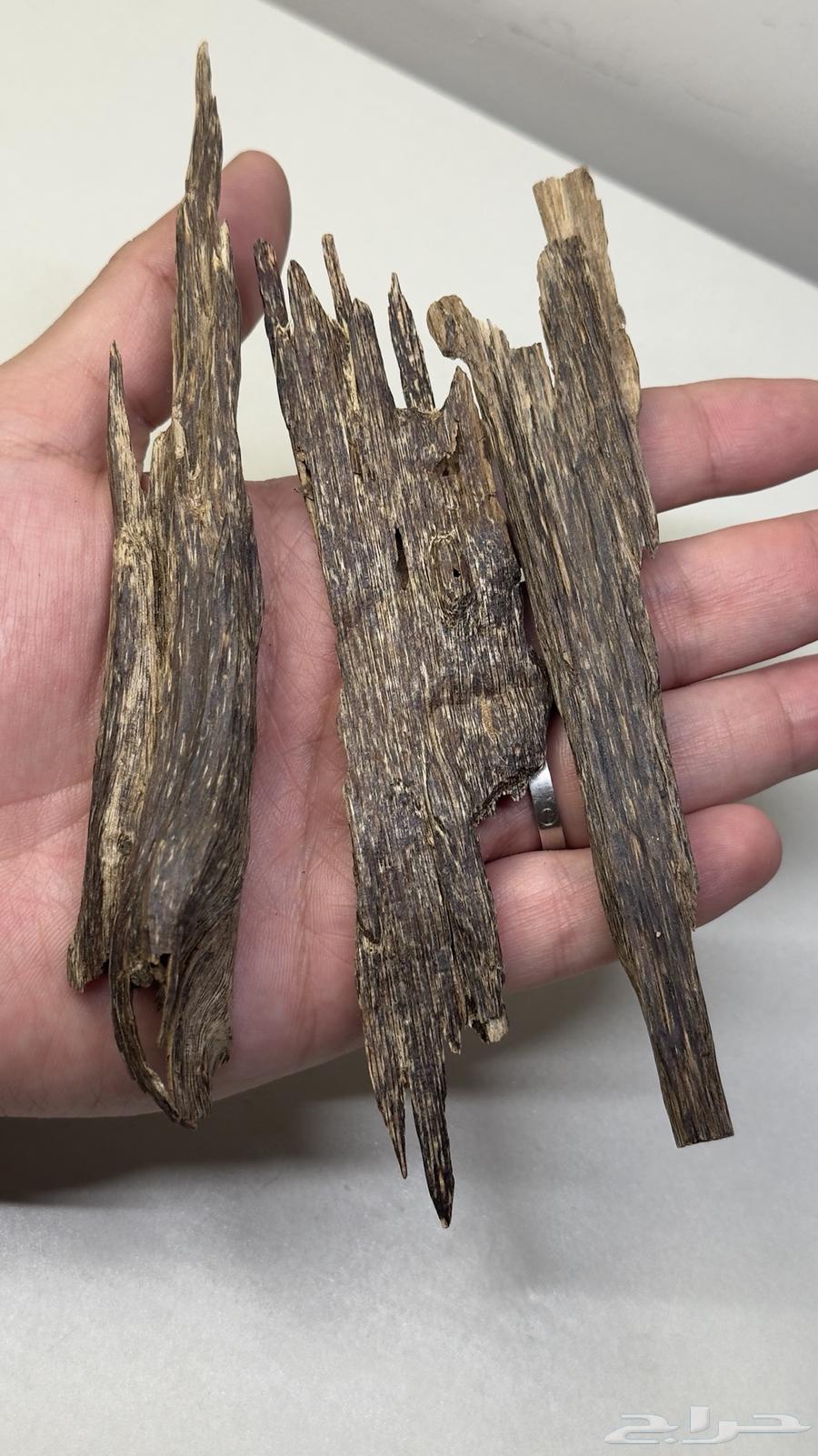 عود هندي طبيعي 10064419331954946112