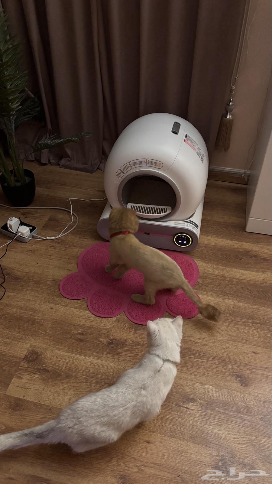 ليتر بوكس ذكي64421797852419110