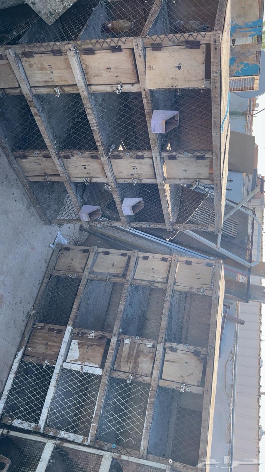 Muhakar64420688502914110