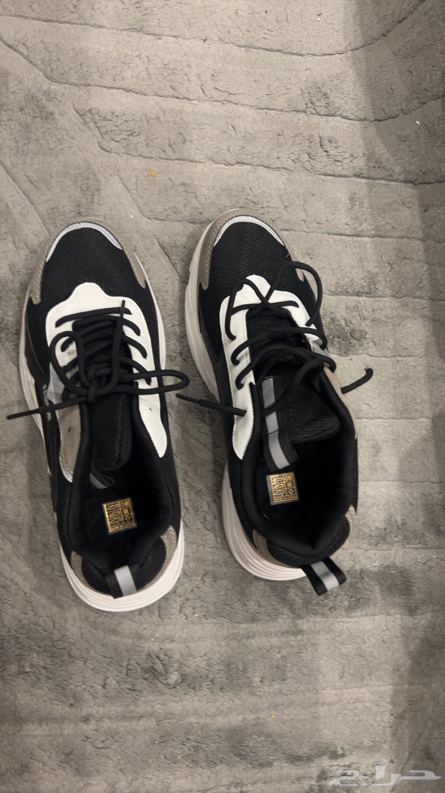 شوز جديد64424226025602110