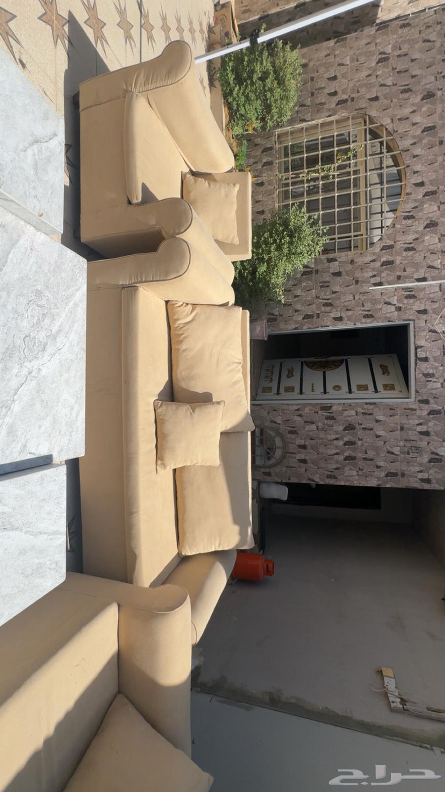 Clean sofa with table64422219050243113