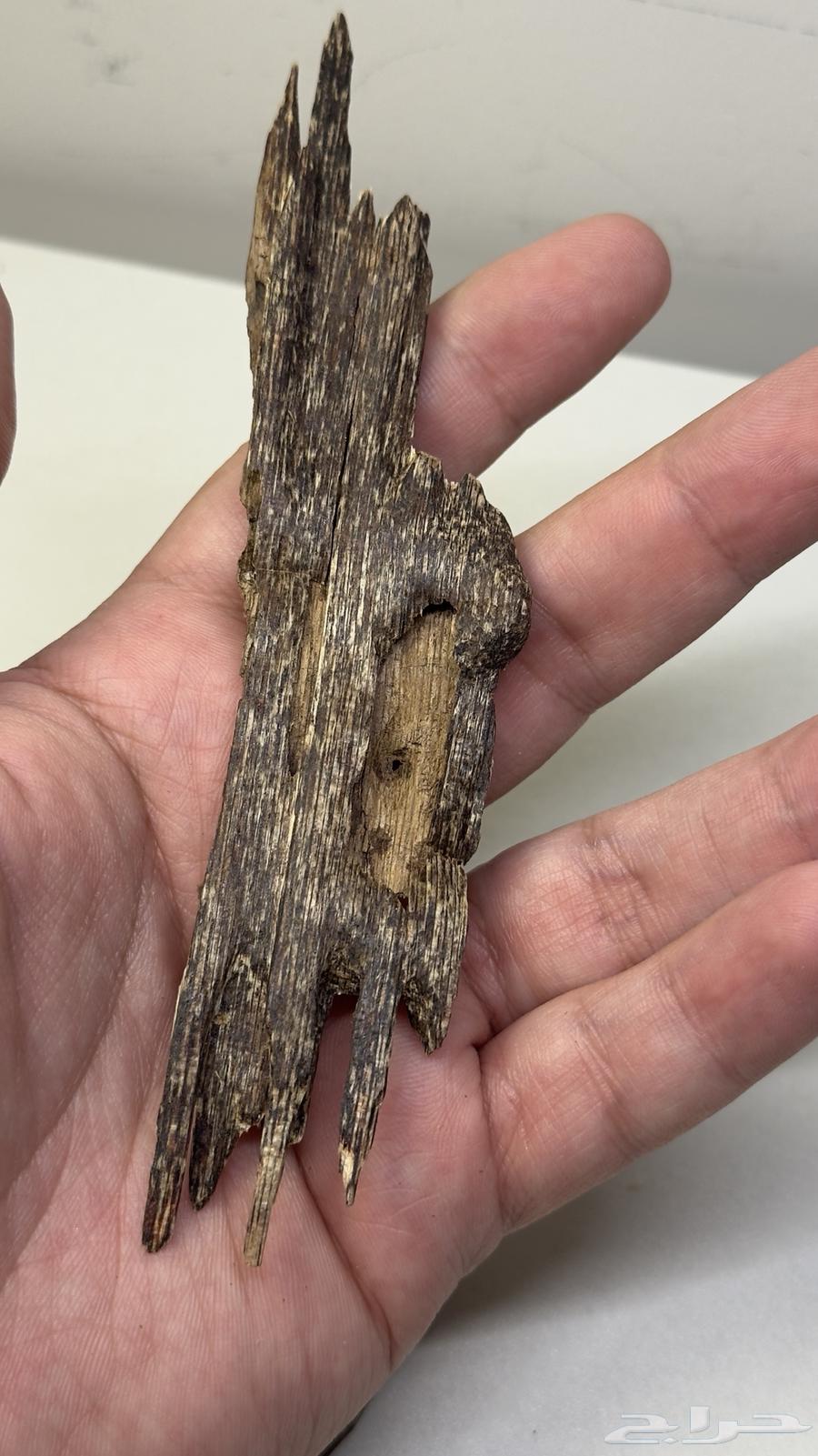 عود هندي طبيعي 10064419331954946110