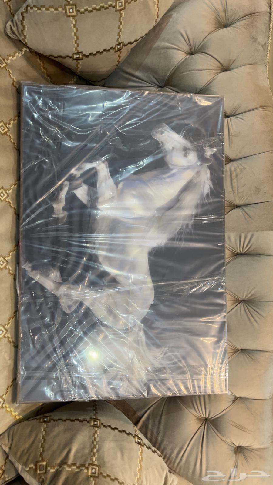 لوحة خيل ابيض في لوحة سوداء64578563627266111