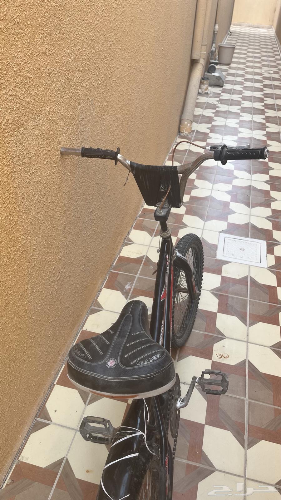 Cobra Cycle64420323706113111