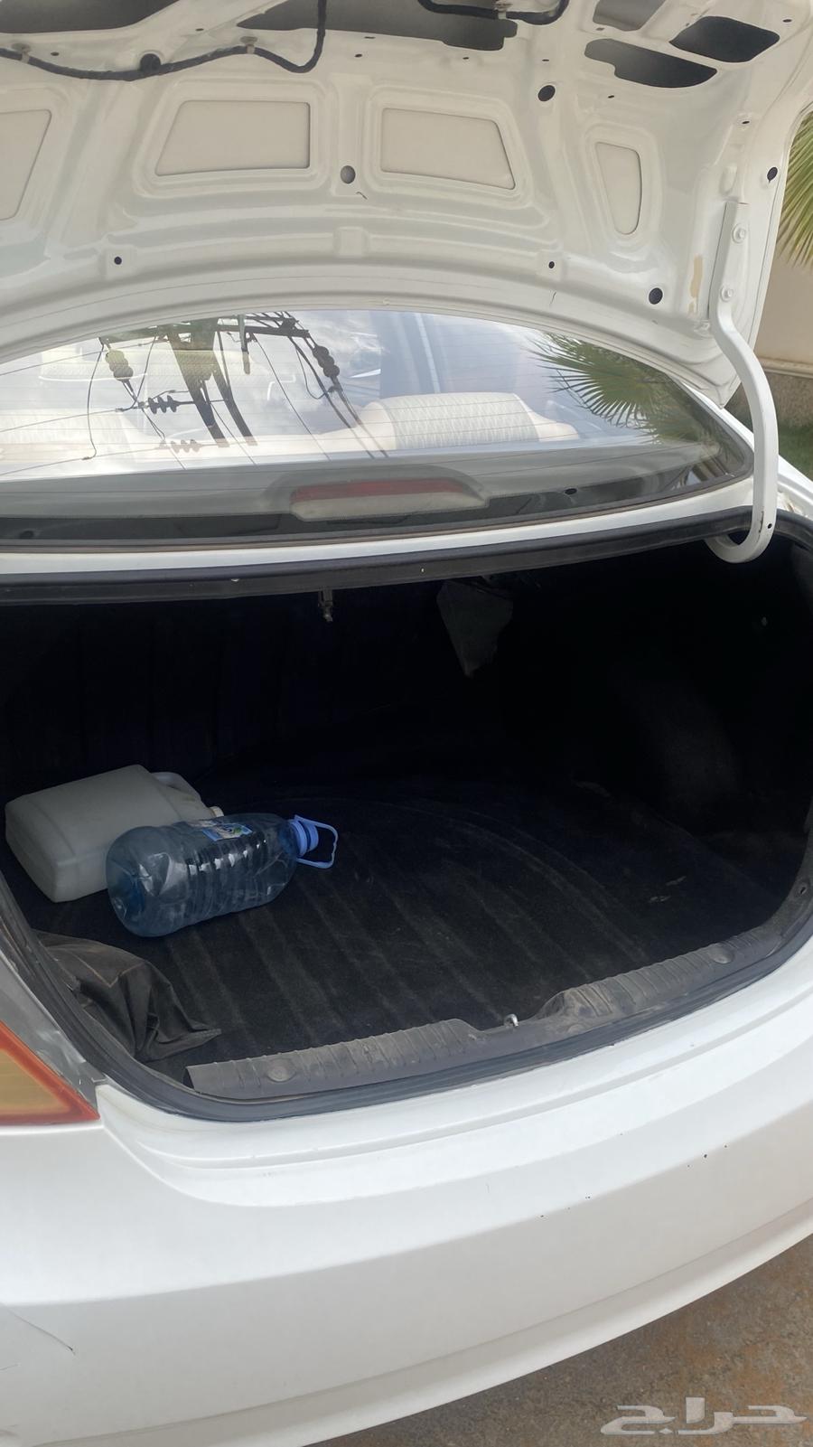 Accent64586226460161114