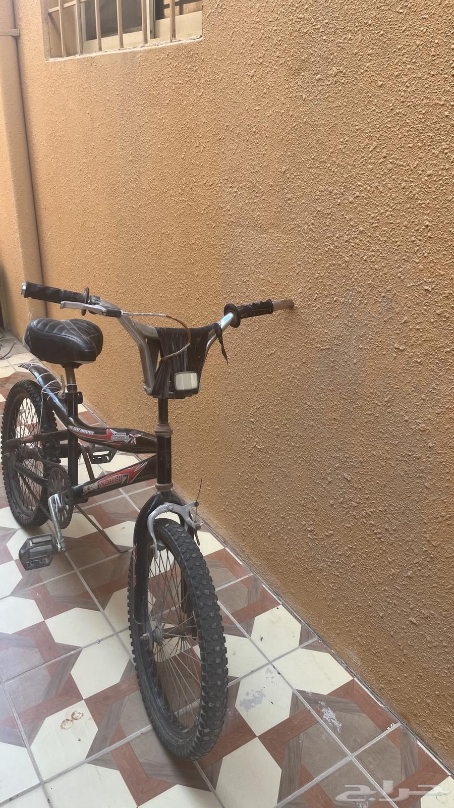 Cobra Cycle64420323706113110